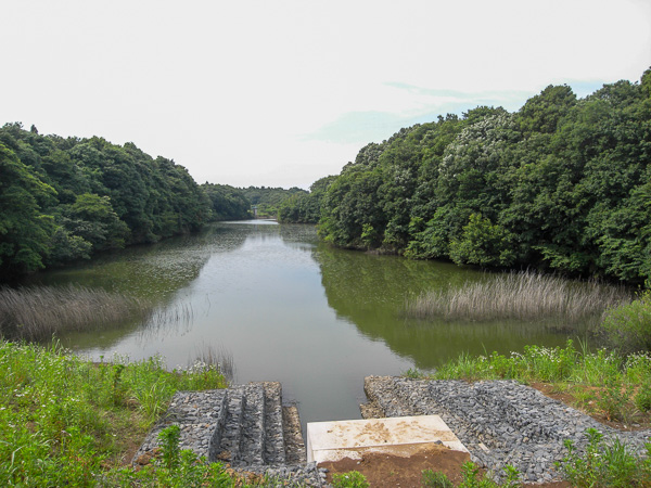 千葉県印西市の池（2009年6月2日撮影）